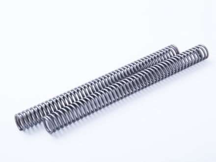 Stainless Steel Springs